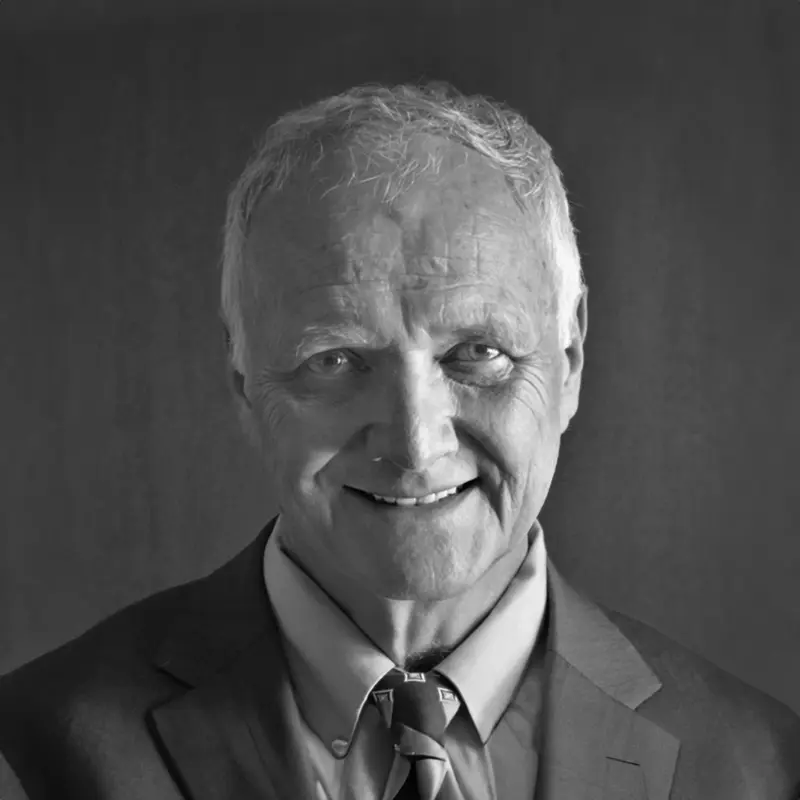 Thomas Hill, Independent consultant